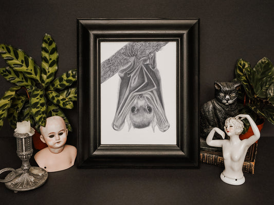 Creature of the Night | Bat Art Print